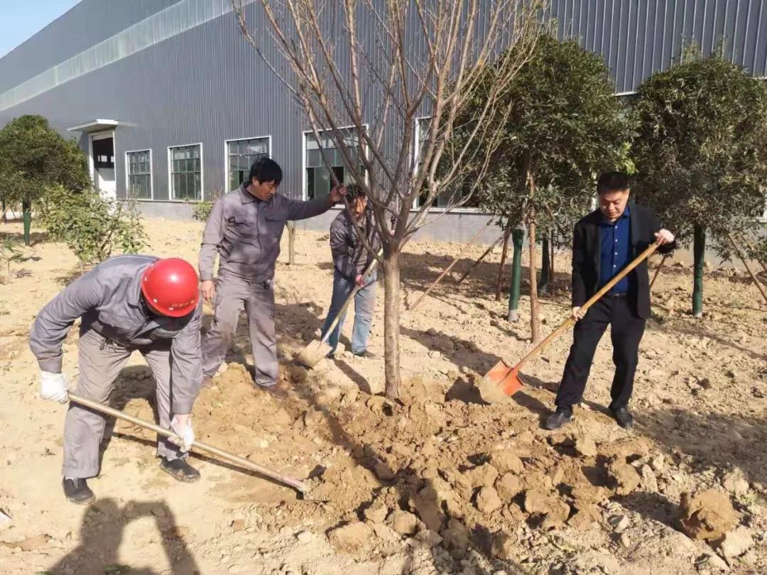 四通員工義務(wù)植樹、共建和諧綠色家園